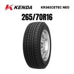 KENDA ICETEC NEO KR36