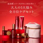 【60%OFF】N organic Plenum 福袋 2026 豪華13点セット 3ヶ月分 数量限定 [ 化粧水 クリーム 目元 美容液 スキンケア セット 福袋 ギフト nオーガニック 2025 ]