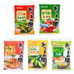  солености tsukemono nichinou еда закуска поле 5 вид ассортимент каждый 1 пакет итого 5 пакет комплект помидор огурец кимчи китайская капуста дайкон салат .... элемент солености tsukemono почтовая доставка бесплатная доставка 