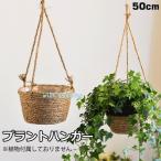  висячий корзина подвешивание горшок подвешивание ниже цветочный горшок висячий посадочная машина декоративное растение цветок горшок цветок pot план to вешалка 