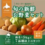北海道産 野菜セット 旬の新鮮お野菜詰め合わせ 7品種以上 80サイズ 調理しやすい常備野菜がメインのつめあわせ