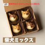 チョコ 犬 動物 2025 柴犬(ミックス) ホワイトデー お歳暮,お中元,プレゼント 送料無料