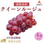 [ предварительный заказ распродажа ] виноград подарок .. для Nagano префектура . склон город производство Queen rouge 4... объект пестициды : культивирование период средний не использование бесплатная доставка подарок осенний подарок 