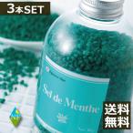 ハッカ湯 入浴剤(ボトルタイプ) 450g - 北見ハッカ通商 Sel de Menthe(セル・デ・メンタ) ハッカ油×3本セット セルデメンタ ボトル