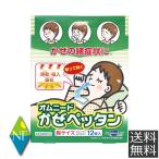 【指定医薬部外品】 オムニード かぜペッタン 12枚入×1個 胸サイズ 風邪 風邪対策 のど テイコクファルマケア