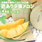 【特別価格】【送料無料】訳あり北海道夕張メロン（個撰）４kg入（２玉〜３玉入）　※夕張メロンのお届けは７月中旬〜８月中旬頃の予定