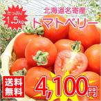 【送料無料】今話題のミニトマト★北海道名寄産トマトベリー【サイズ混合】 約1.5kg入（正規品）　※7月下旬以降収穫後のお届けとなります。