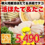 【送料無料】北海道噴火湾産活ホタテ（３年貝）３kg＆お刺身用タコ（500g前後）セット　※第１回目・第２回目いずれかのお届け