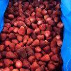 [KIMONO FRUITS] есть перевод B товар рефрижератор клубника 5kg(1000g×5)( Mexico производство кроме того,,pe Roo производство ) рефрижератор клубника рефрижератор клубника 