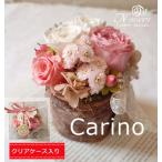 ショッピングプリザーブドフラワー プリザーブドフラワー  カリーノ 誕生日プレゼント 【クリアケース入り】
