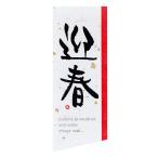  подарок наклейка . весна японская бумага -M(40 листов ) GS-2S