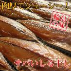  скумбиря сушеный продукт скумбиря ... высушенный 