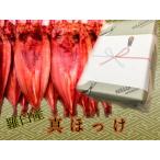  Hokkaido .. производство подлинный ... большой размер 3 шт. комплект 