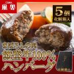 被災地特産品 てらおか風舎 能登牛 100% ハンバーグ 120g 5個 レストラン 特製 デミグラスソース 付き 牛肉 冷凍 ギフト 内祝 贈答 景品 お取り寄せ グルメ