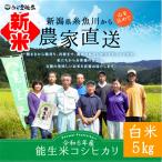 米 5kg ５キロ 白米 精米 コシヒカリ 新潟 令和５年 農家直送 糸魚川 能生米 送料無料