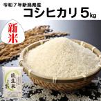 新米 令和7年産 米 5kg ５キロ 白米 精米 コシヒカリ 新潟 農家直送 糸魚川 能生米 送料無料