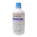  Boxer ..500ml