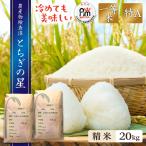 新米 20kg (10kg×2袋) 送料無料 とちぎの星 令和7年産 栃木県 白米 一等米