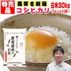 特売品 米 白米 30kg 5kgx6袋 業務用 コ