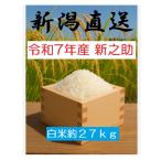 新潟県産　新之助　白米約27ｋｇ　令和7年産/１等/米/白米/精米/新米/玄米/新潟米/しんのすけ