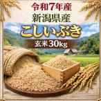 令和７年産　新潟県産こしいぶき　玄米30ｋｇ　令和7年産/米/新米