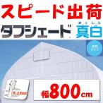 タフシェード真白 まっしろ 0.15mm厚 800cm幅 希望長さ(m)を数量に入力 POフィルム 白色 遮熱 農業用  ビニールハウス用 農機具倉庫 農作業場