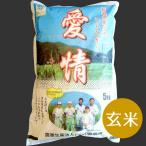 特別栽培米コシヒカリ