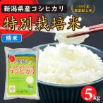 特別栽培米コシヒカリ