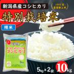 令和6年産　特別栽培米コシヒカリ（精米）10Kg（5kgｘ2）【新潟県胎内市産】