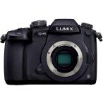 Panasonic GH5 чёрный корпус хорошая вещь рабочее состояние подтверждено 1 месяцев с гарантией маленький размер легкий беззеркальный 