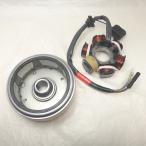 PGO AC генератор ASSY T-REX125 T-REX150 Mybubu125α Charge 125 * бесплатная доставка *