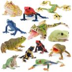 【並行輸入品】 Toymany Frog Toy Figures, Plastic Rainforest Woodland Animals To