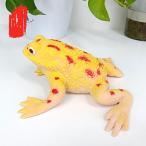 【並行輸入品】スクイーズトイ(イエローフロッグ)。 RRSDJJ Funny Sand Filled Stress Toy，Stretchy G