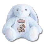 【並行輸入品】 This Is A Big Hug From Grandma   Personalized Stuffed Bunny, Gra