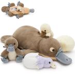 �y���s�A���i�zTezituor 21�C���` �J���m�n�V �ʂ������ �Ԃ����3�C�Ɨ�2�t�� �L���[�g�Ń��A���ȃJ���m�n�V �ʂ������ �q���p