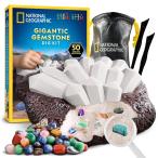 ショッピングナショナル 【並行輸入品】ナショナルジオグラフィック 巨大な宝石掘り出しキット   巨大な発掘レンガから本物の宝石を50個発掘、子供用宝石採掘キット、STE