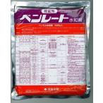 ショッピングドット 【メール便可】ベンレート水和剤　５００ｇ