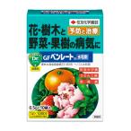 GF Ben rate вода мир .0.5g×10 пакет ввод 