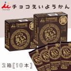 チョコえいようかん 栄養かん 井村屋 羊羹 非常食 5年間長期保存 保存食 防災食 長期保存 災害食 おまとめセット (10本セット)