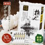 令和5年産 無洗米 30kg 新鮮密封パック 送料無料 米 お米 コシヒカリ こしひかり 特別栽培米 野沢農産 長野県産 北信産 精米 5kg ×6袋 ブナの水