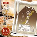 ショッピング若玄米 お米 10kg 5kg×2袋 こつぶな玄米 10キロ 送料無料 ギフト 送料込み 青玄米 若玄米