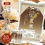 お米 20kg 5kg×4袋 こつぶな玄米 20キロ 送料無料 ギフト 送料込み 青玄米 若玄米