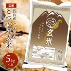 お米 5kg こつぶな玄米 5キロ 送料無料 ギフト 送料込み 青玄米 若玄米
