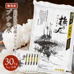 米 米30kg 無洗米 30kg 送料無料 米 お米 コシヒカリ こしひかり 特別栽培米 野沢農産 長野県産 北信産 精米 5kg ×6袋 ブナの水 令和6年産