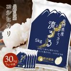 米 米30kg お米 送料無料 コシヒカリ こしひかり 流るる 野沢農産 長野県産 精米 白米 5kg × 6袋 令和6年産