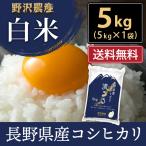 令和5年産 米5kg お米 送料無料 コシヒカリ こしひかり 流るる 野沢農産 長野県産　精米 白米