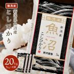 米 米20kg 無洗米 20kg 送料無料 米 お米 コシヒカリ こしひかり 新潟県産 魚沼産 魚沼産コシヒカリ 野沢農産 精米 5kg ×4袋 令和6年産