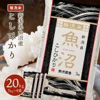 令和5年産 無洗米 20kg 