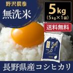 ショッピング無洗米 令和5年産 無洗米 5kg 送料無料 米 お米 コシヒカリ こしひかり 流るる 野沢農産 長野県産 精米