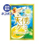 ネコポス アイデアパッケージ 天使�